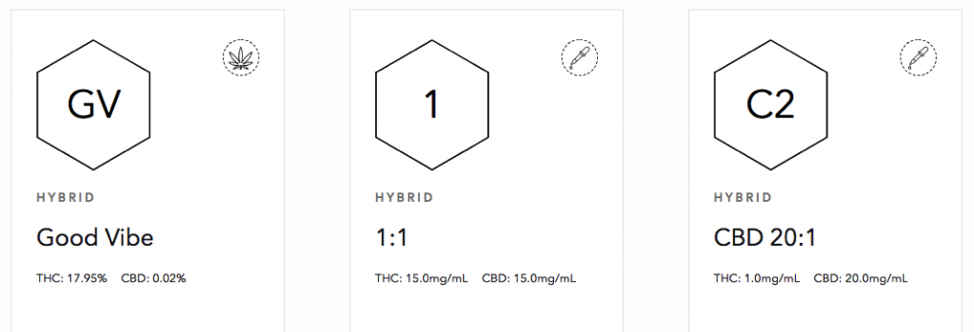 Hybrid cannabis tale of two strains that contain both THC and CBD