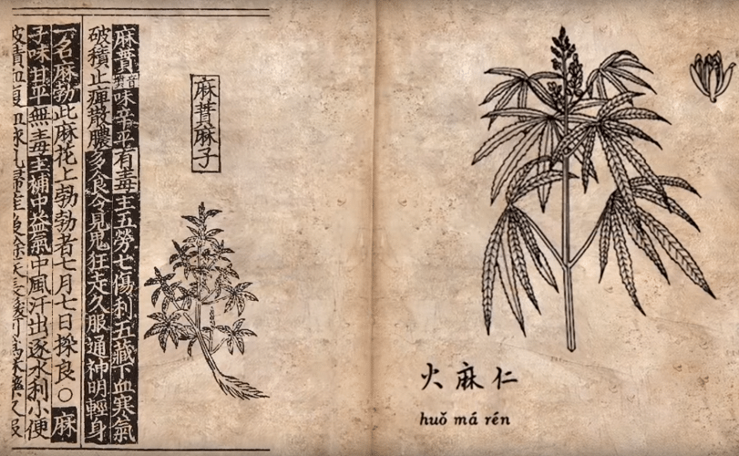 Ancient civilizations used medical cannabis to remedy a number of ailments