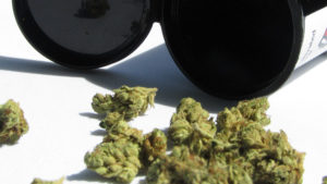 Patients are permitted to have 150 grams of cannabis on their person