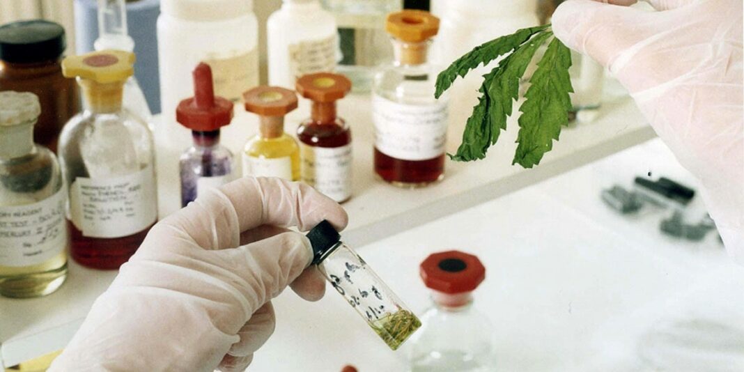 which-social-assistance-programs-cover-medical-cannabis-cannalogue