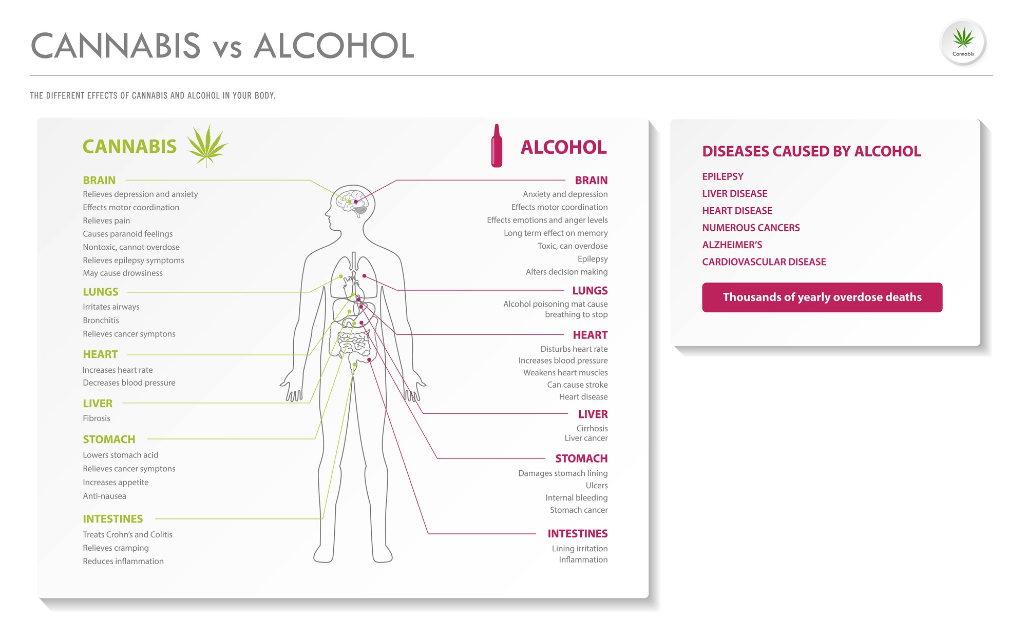 What's the Difference - THC, CBD, and Hemp in Beverages