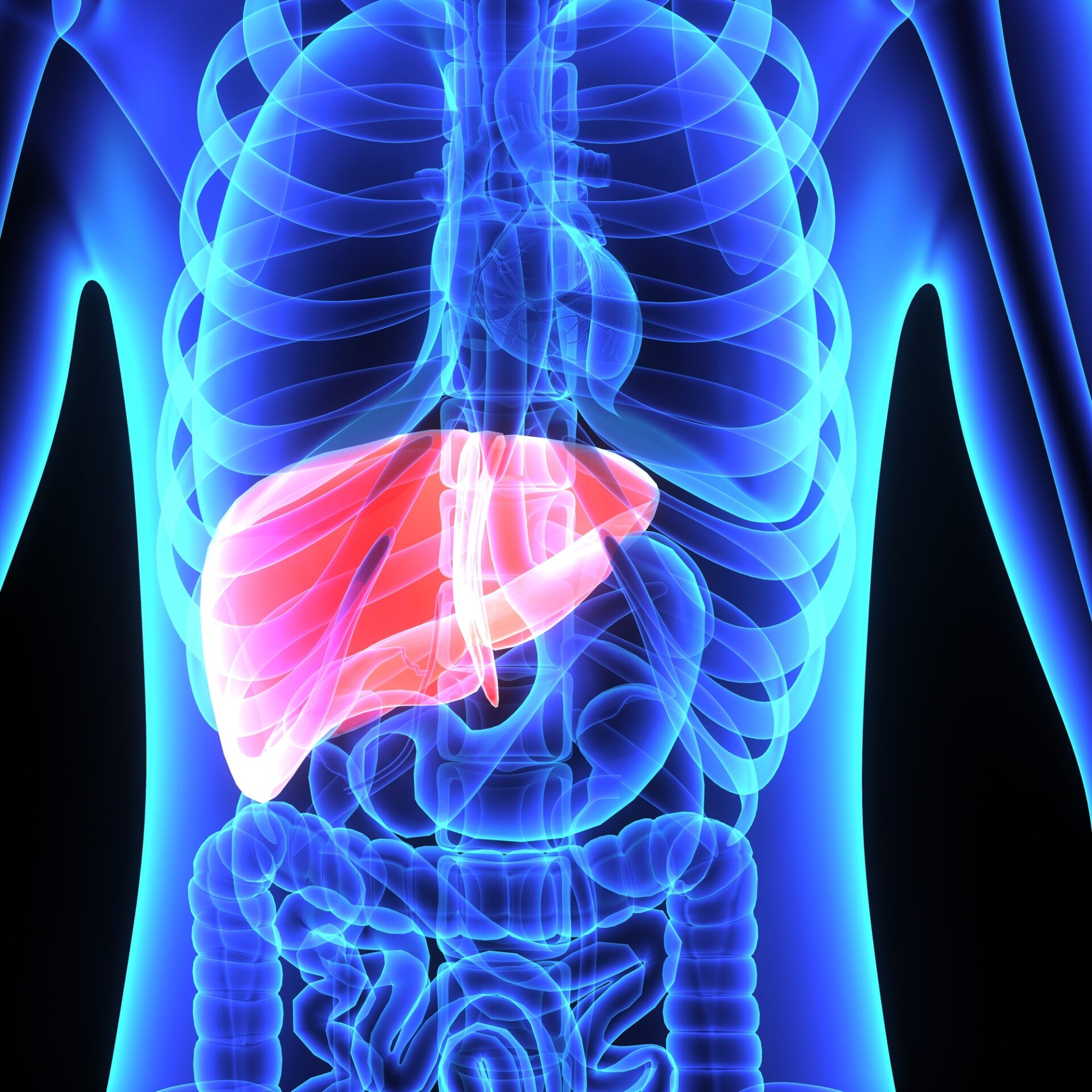 medical-cannabis-and-liver-health-cannalogue