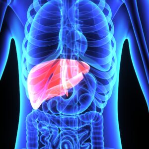 medical cannabis and liver health location of liver